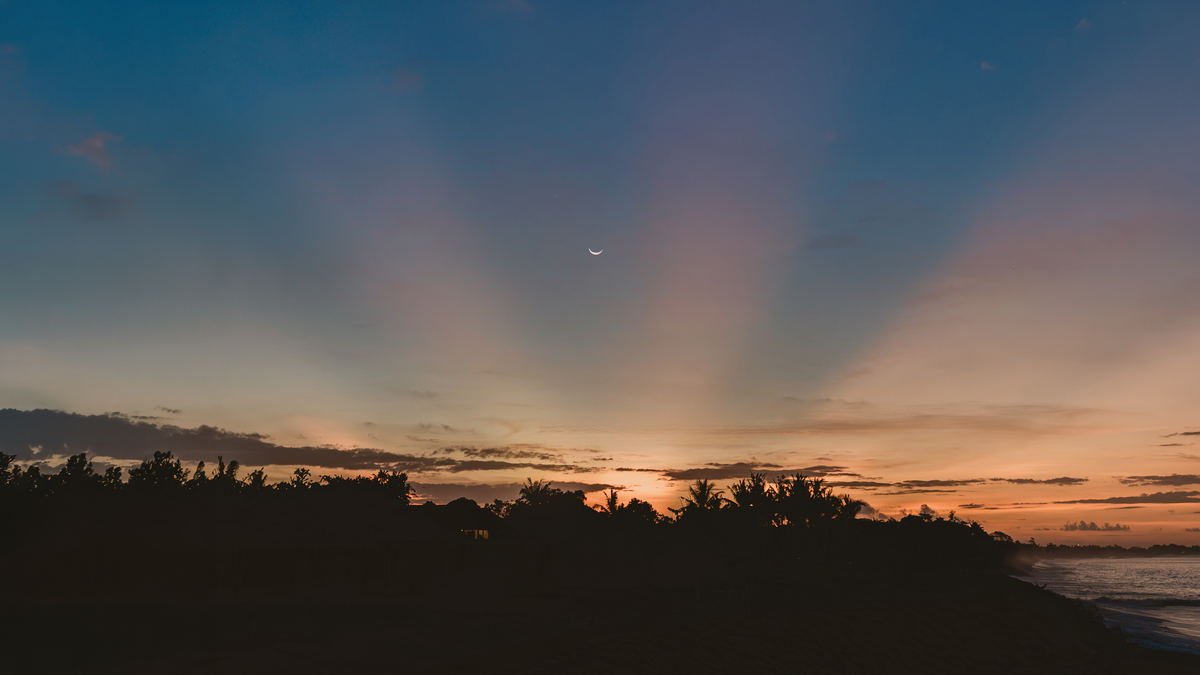 Crescent moon over a palm treeline at dusk, surf running along a dark coast