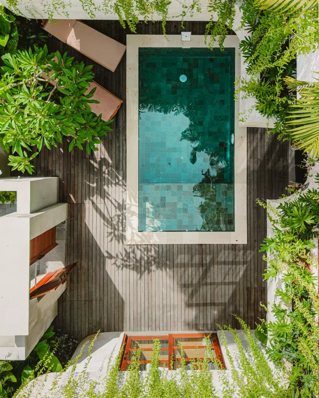 Top-down view of a green-tiled plunge pool on a timber deck surrounded by plants